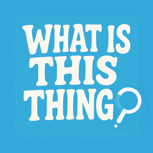 What Is This Thing logo